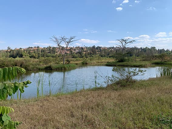 Nyandungu park entrance